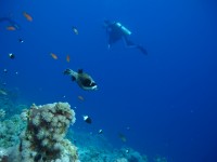 IMG_3631.JPG
